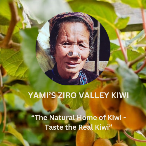 YamisZiroValleyKiwi